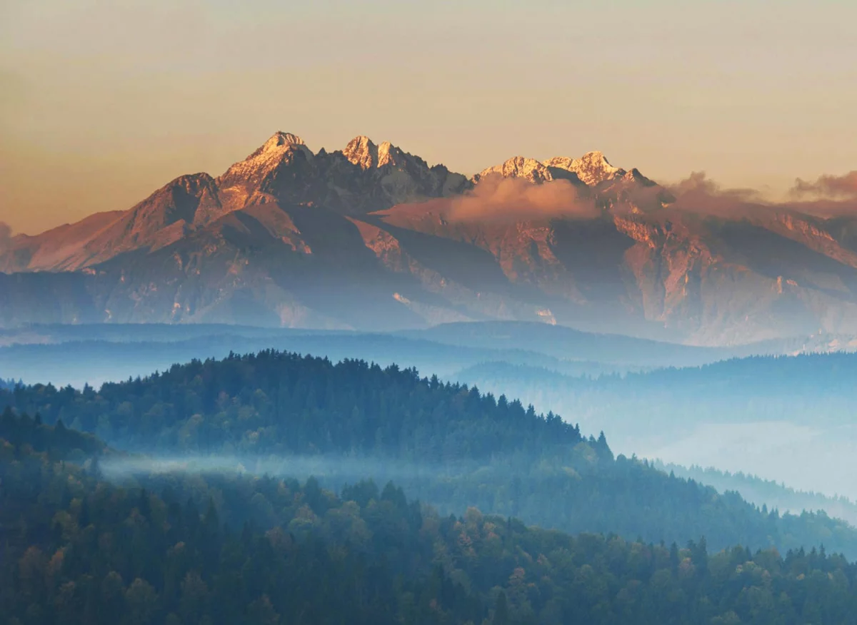 6 Wskazówek Aby kupić para cord