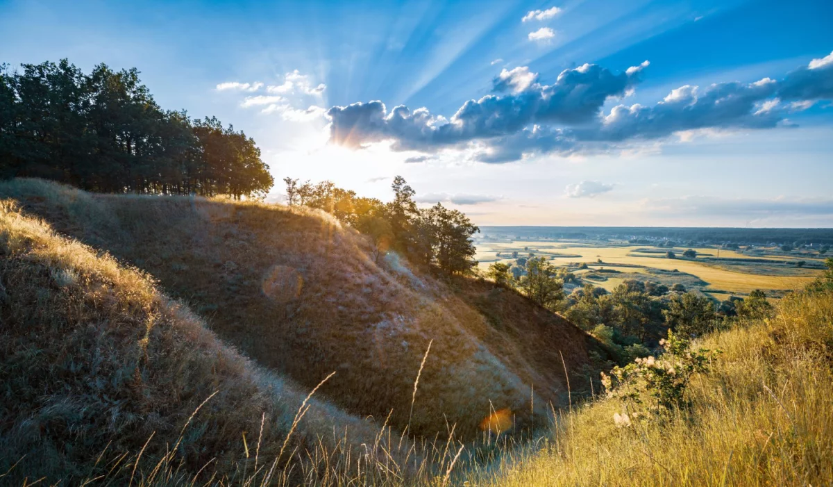 Wartość tego jak  zamówić pokazy tańca Warszawa w 2021