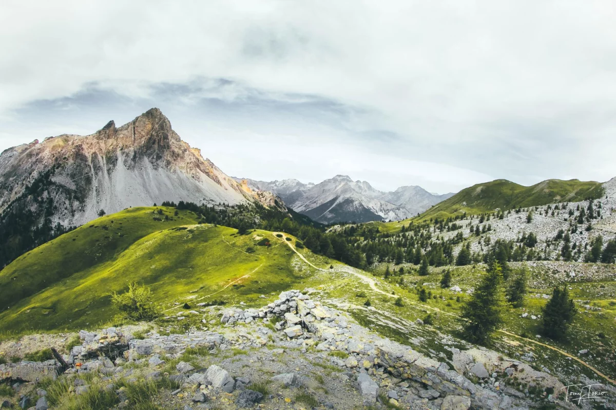 10 Niepodważalnych Dowodów, Faktów I Liczb, Które Pokazują Jak kupić oprogramowanie