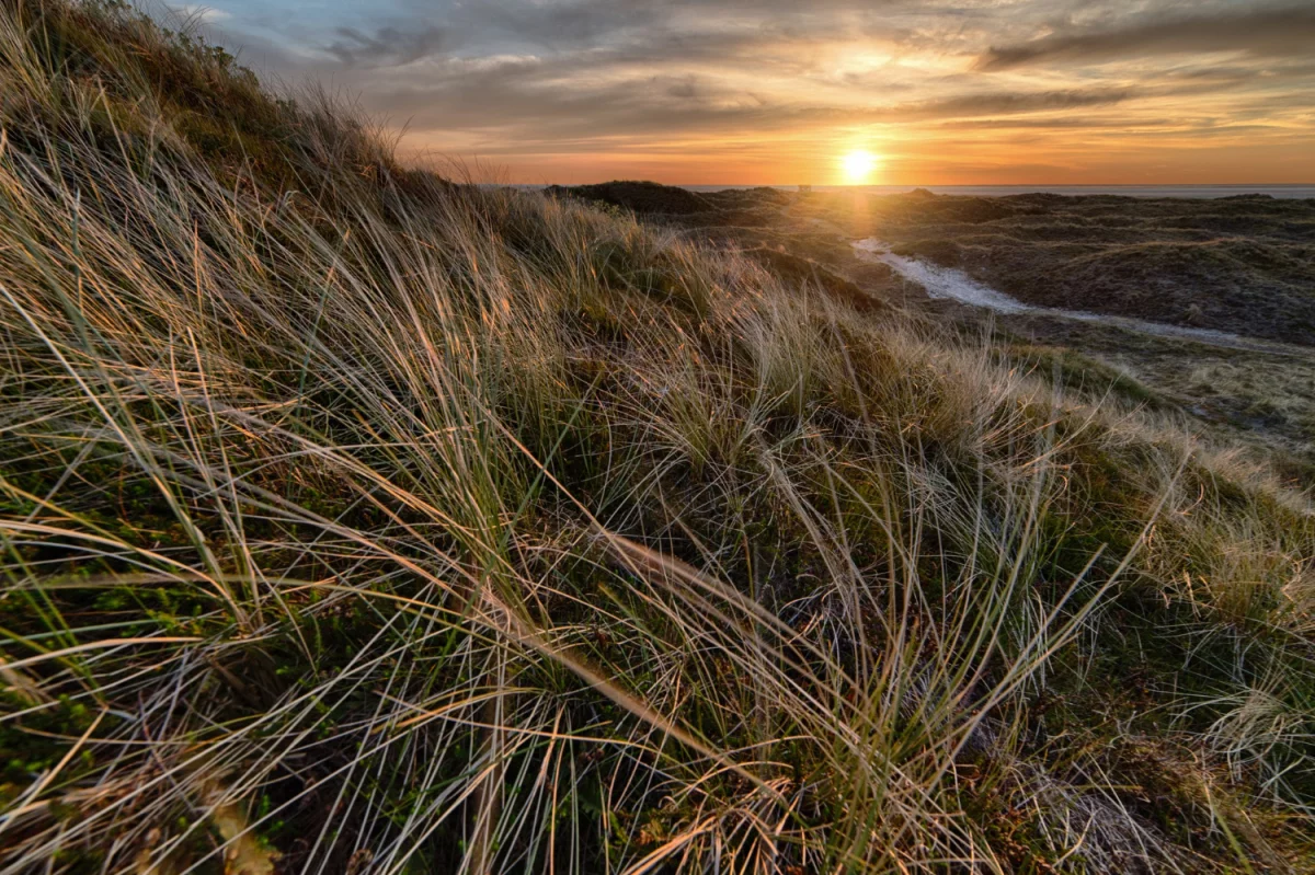 10 Sprawdzonych Sposobów Aby zadbać o zdrowie i urodę